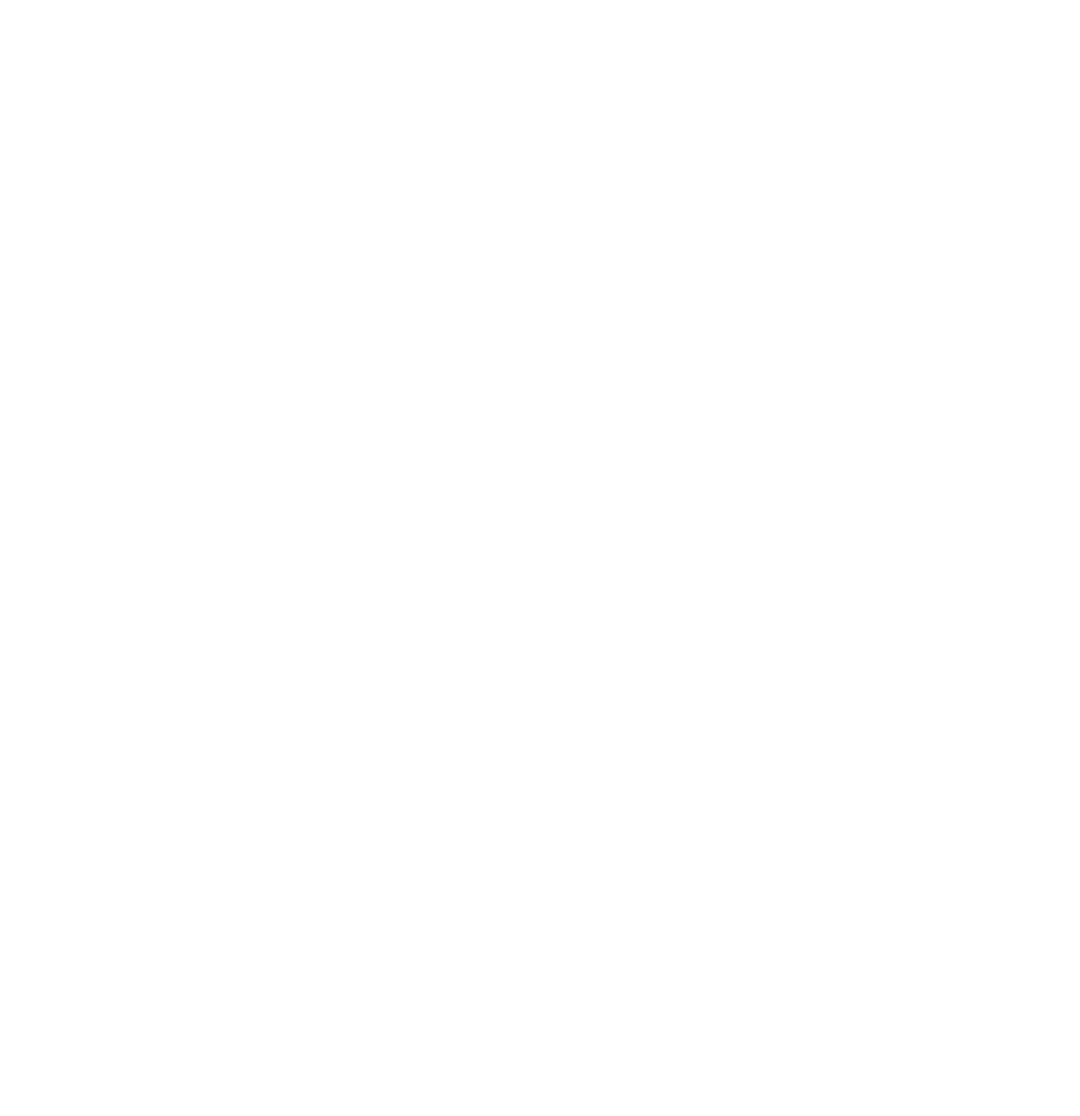 不正常國家的不正常憲法